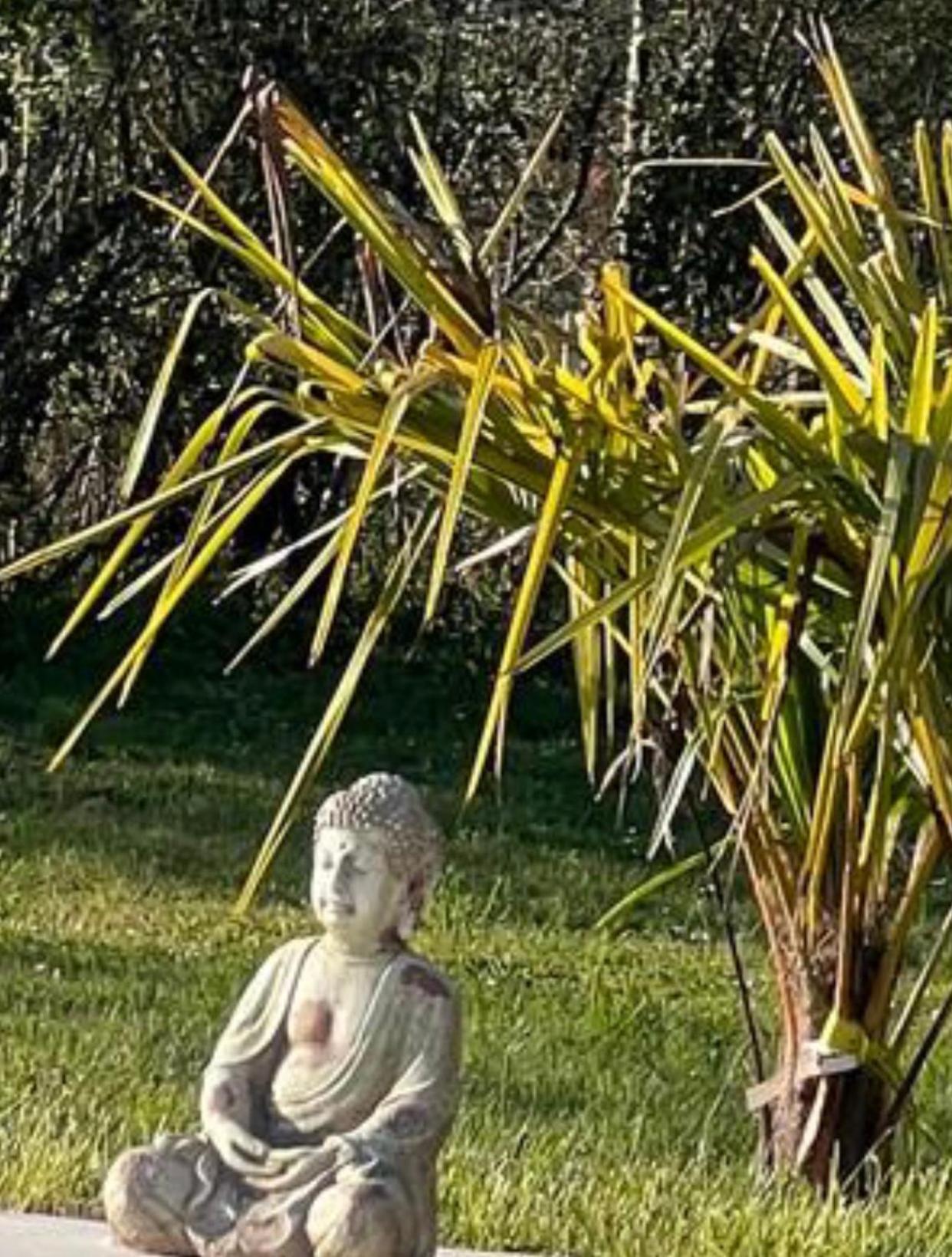 Chambre Au Jardin Tente De Charme Eguzon-Chantome Dış mekan fotoğraf